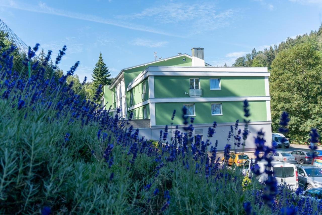 Wellness Hotel Green Paradise Brezova  Exterior photo