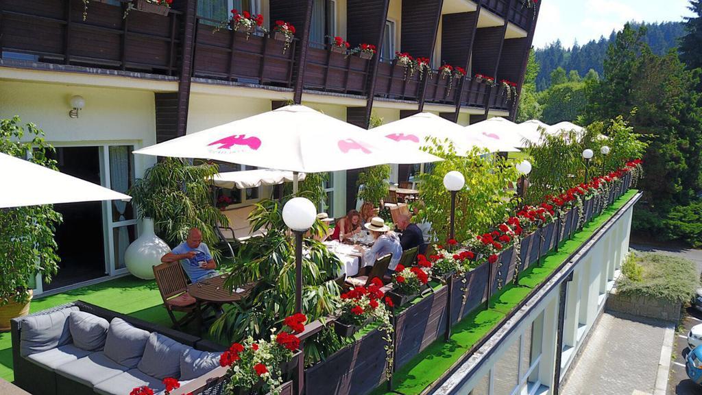 Wellness Hotel Green Paradise Brezova  Exterior photo